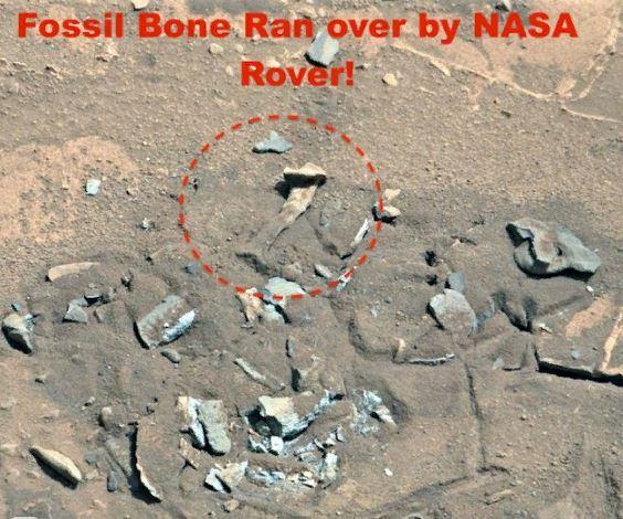 Уфолог обнаружил на Марсе кость от ноги пришельца