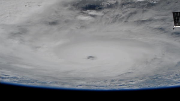В Интернет выложили видео убийственного урагана «Харви»