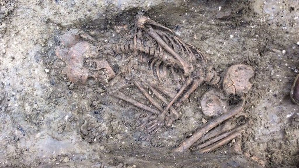 Раскрыта жестокая тайна погребения древних ирландцев