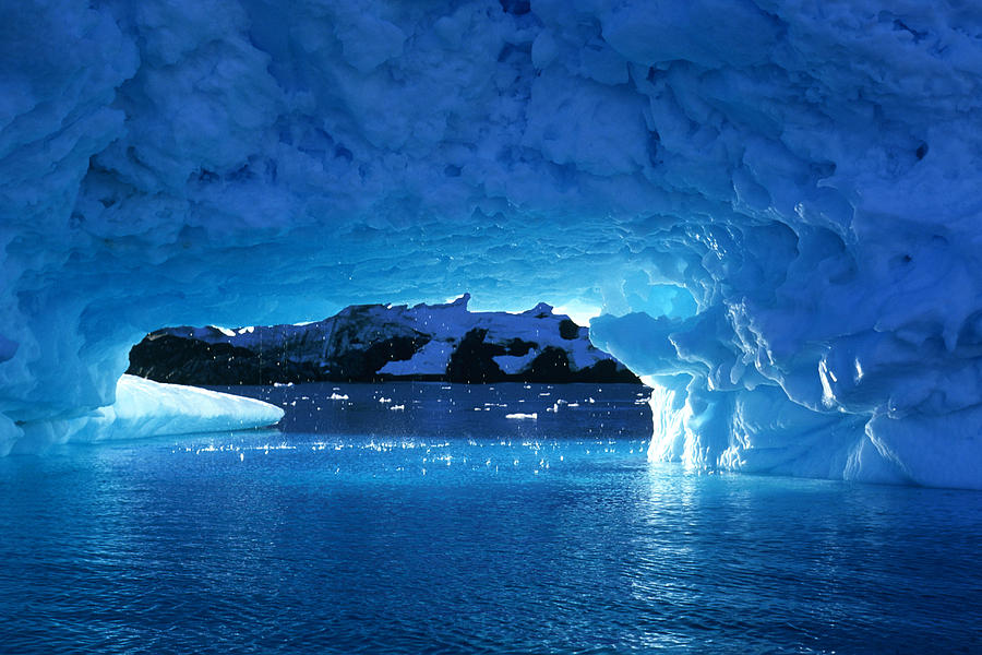 На просторах Антарктиды был найден тропический рай