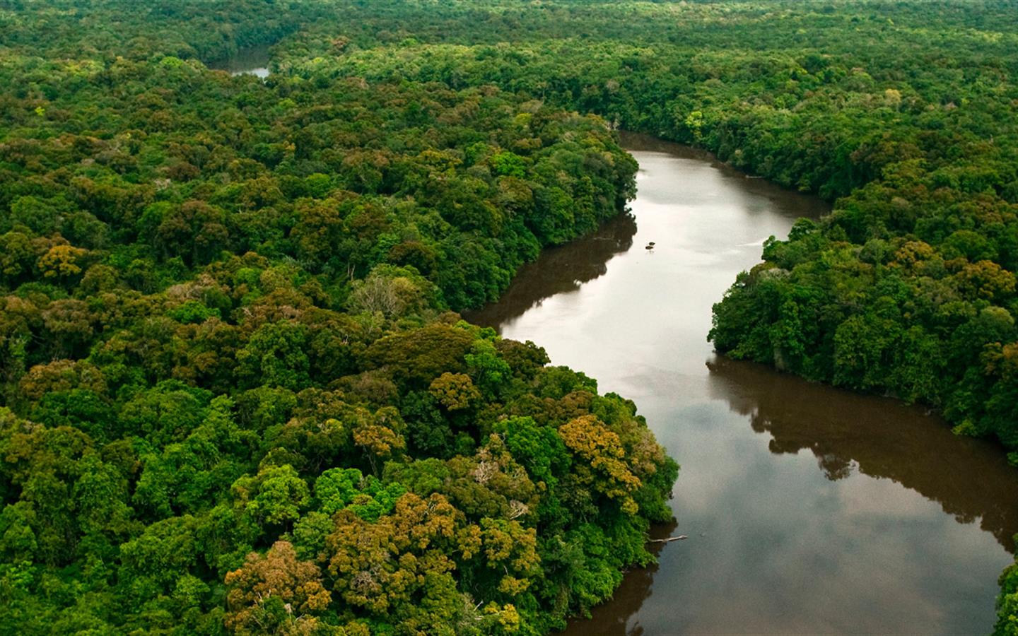 Среди величественных лесов Амазонки российский уфолог заметил НЛО