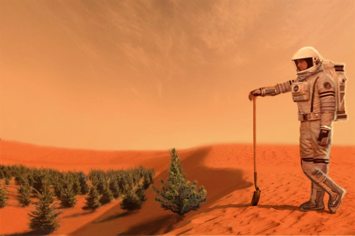 Эмираты собрались превратить Марс в цветущий сад с садами и полями