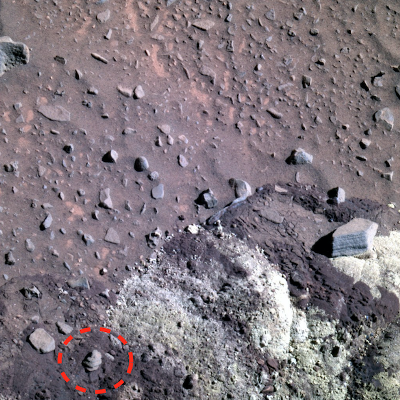 Морская ракушка затесалась среди песков Марса