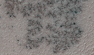 NASA изучает «пауков» на Марсе