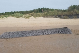 На берег пляжа в Уэльсе волны вынесли нечто невероятное