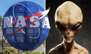 Страсти накаляются: НАСА подвергли критике за сокрытие информации об инопланетных связях