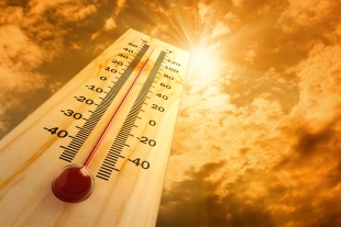 Климатологи не перестают радовать: в 2050 году 40-градусная жара будет нормой