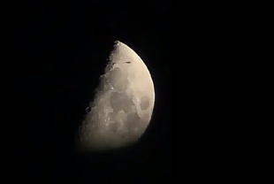 В Москве очевидец снял «дракона», пролетающего на фоне Луны