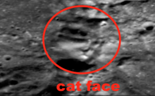 Уфологи рассмотрели на поверхности Луны кошку и человеческое лицо
