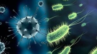 Неизвестные бактерии атакуют людей и не боятся никаких лекарств