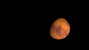 Конспирологи рассказали Илону Маску о форме Красной планеты